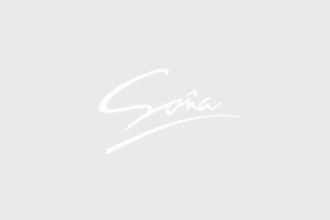 Dámske lodičky Caprice modré